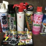 もう嫌だ!実際ににやってみたカメムシ対策を5つ紹介します。