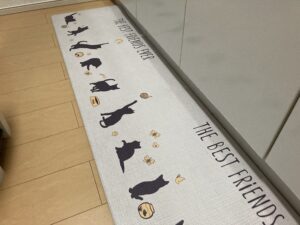 キッチンに立つのが楽しくなる?低反発キッチンマット購入レビュー